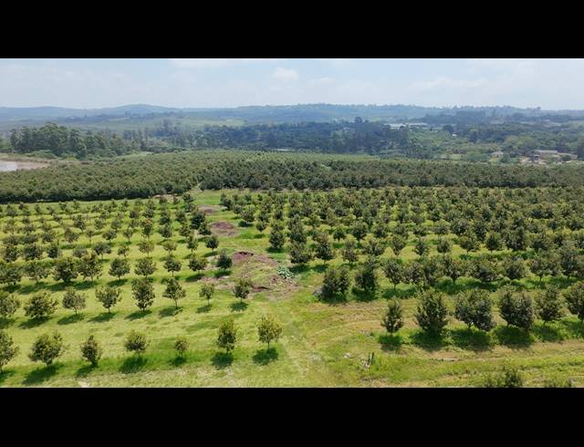 24HA FARM FOR SALE IN WHITE RIVER RURAL